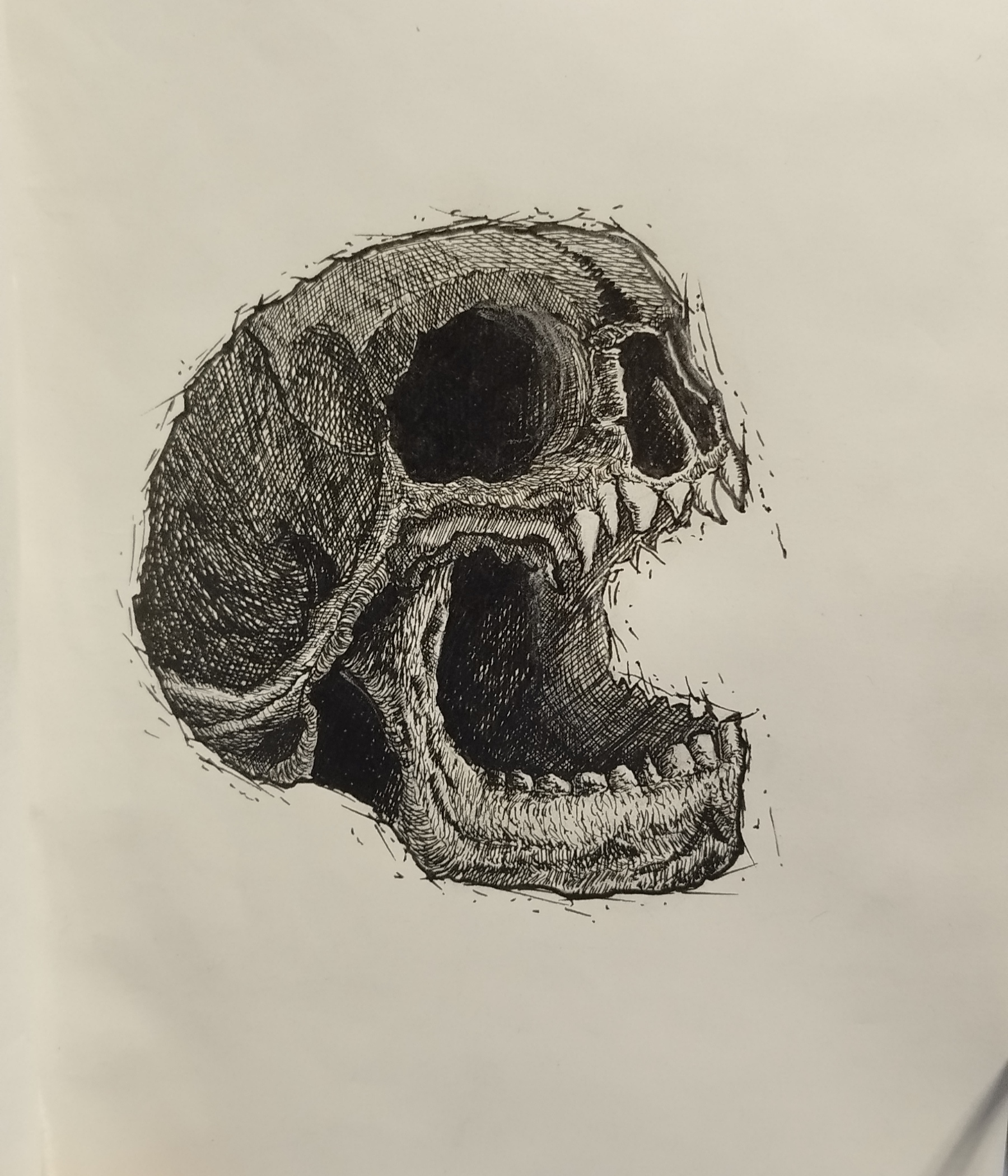 Skull